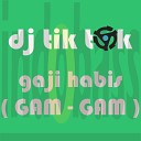 DJ Tik Tok - Gaji Habis Gam Gam Radio Mix
