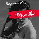Dragon and Berr - This Is Not a Love Song