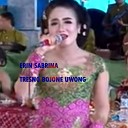 Erin Sabrina feat - Tresno Bojone Uwong