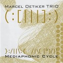 Marcel Oetiker Trio - Trash D