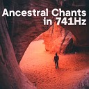 The Healing Project Schola Camerata - Ancestral Chants In 741Hz