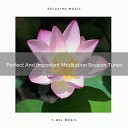 Instant Relax - Perfect And Important Meditation Session…