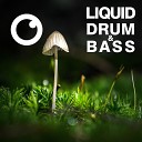 Dreazz - Liquid Drum Bass Sessions 2020 Vol 30