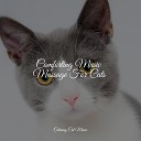 Calm Music for Cats Cat Music Dreams Cat Music… - A Brief Connection