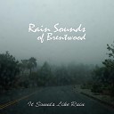 Rain Sounds of Brentwood - Where Did the Birds Go