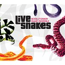 Revolutionary Snake Ensemble - I Got It