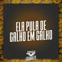 MC VININ DJ LP MALVAD O DJ CLEBER - Ela Pula de Galho em Galho