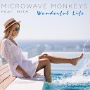 Microwave Monkeys feat Nita - Wonderful Life Extended Mix