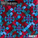 Bolier - Feed Your Soul Extended Mix