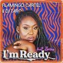 Flamingo Cartel DJ Taro Zorina - I m Ready