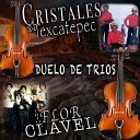Cristales De Texcatepec Y Trio Flor Clavel - El Gallito Tuerto