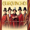 Quirquinchos - Me He Resignado