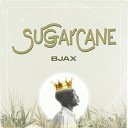 BJAX - Sugarcane