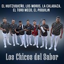 Los Chicos Del Sabor - El Huitzuque o los Moros la Calabaza el Toro Meco el…
