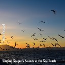 Steve Brassel - Singing Seagulls Sounds at the Sea Beach Pt 2