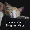 Cat Music Therapy - Cats Are Cute Whenever They Listen to Music