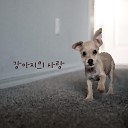Go Woon - Love Of Puppy (inst.)