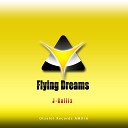 J Rallix - Flying Dreams