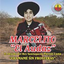 Marcelito El Audaz - El Toro