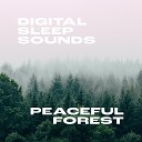 Digital Sleep Sounds - Tranquil Forest