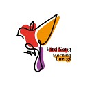 Bird Song Group - Spring Birds