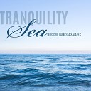 Sea Tranquility Academy - Tale on the Flute