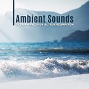 Calming Water Consort - Oriental Waves