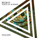 Beeroy - Voice of Summer Dub Mix