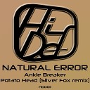 Natural Error Silver Fox - Potato Head Silver fox Remix