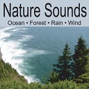 Nature Sounds Artists - Sounds of the Sea