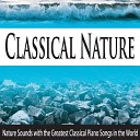 Robbins Island Music Group - Emperor Waltz On the Piano With Nature Sounds