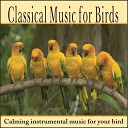 Robbins Island Music Artists - Spring Song Without Words in G Major Op 62