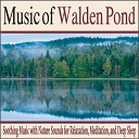 Robbins Island Music Group - Walden Pond s Feathery Visitors in the Morning…
