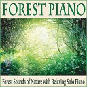 Robbins Island Music Group - October Forest Piano