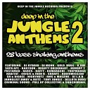 Criminal Sound - The Jungle