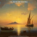 J S Bach Orchestra Walter Rinaldi - II Adagio Live