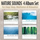 Robbins Island Music Group - Healing Powers of the Ocean With Dolphin and Whale…