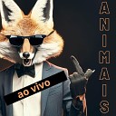 Tijolos Baianos - Animais Ao Vivo