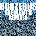 Boozebus - Neckar Biolab Remix