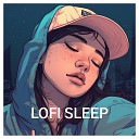Lofi Sleep Society Sloepoke - Sleeping Fox