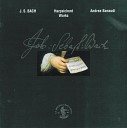 Andrea Banaudi - Sonata in D Dur BWV 963 senza indicazione di…