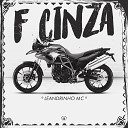 Leandrinho MC Love Funk - F Cinza