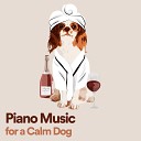 Calm Dog Music - Piano Music for a Calm Dog Pt 12