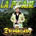 EL DESPRECIADO DE TIERRA CALIENTE - El Huizache