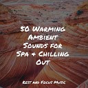 Soothing Chill Out for Insomnia Academia de M sica con Sonidos de la Naturaleza Tranquil Music Sound of… - Cascades of Water