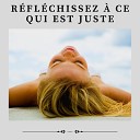 Musique Douce Ensemble - Relaxation Zen Pt 12