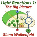 Glenn Wolkenfeld - Light Reactions 1 The Big Picture