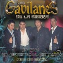 Los Gavilanes de la Sierra - La Botella En Vivo