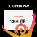 DJ Ciperi Pam - Ciperi pam te pego e pa
