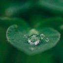 Gentle Rain Makers Mindfulness Mediation World Baby Can t… - Zen Garden